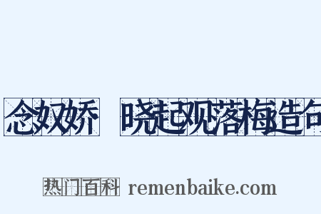 念奴娇·晓起观落梅造句是什么意思的图片